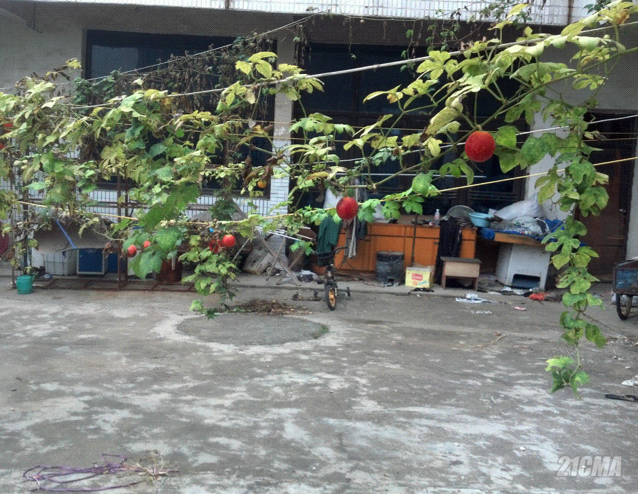 QQͼ20121107122451.GIF